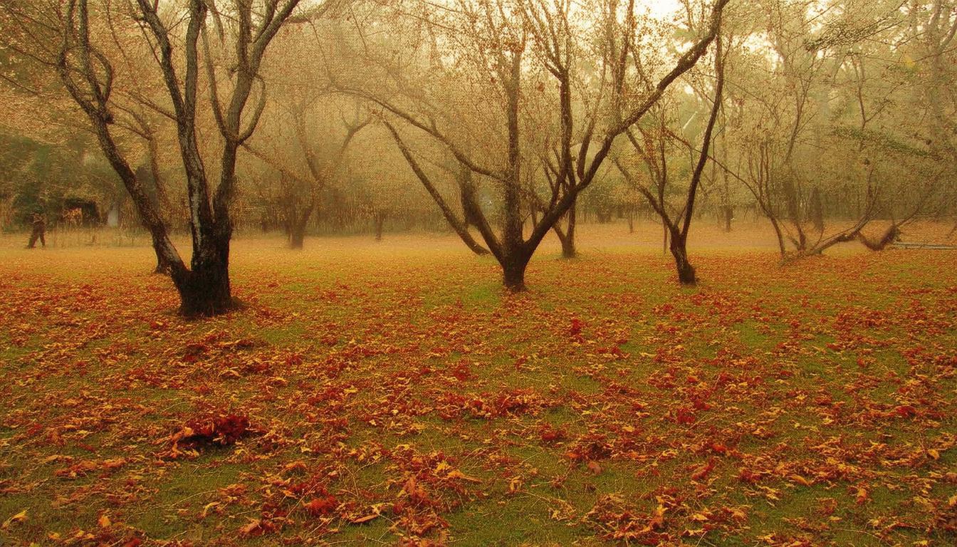 买二手压路机要注意些什么_二手压路机_二手手机压屏机市场